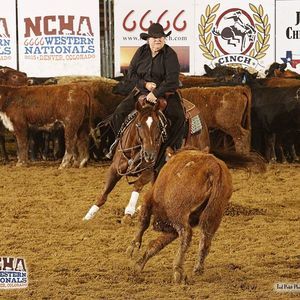 Meet your Posher, Fiina